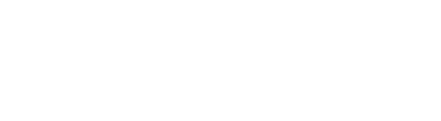 Academia Enlevo